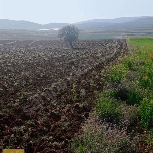 ÇAYIRBAĞI MH BAY SARI'DAN MÜSTAKİL 13.088 M2 SATILIK TARLA